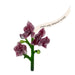 Marie Selby Botanical Gardens Glass Orchid Ornament featuring purple blooms, a green stem, and a ribbon printed with the garden’s name.