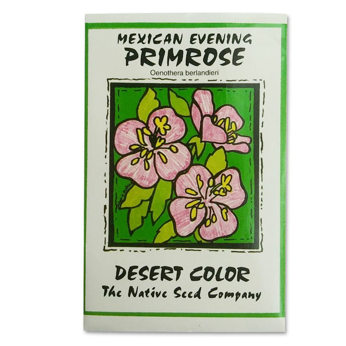 Mexican Evening Primrose Wildflower Seeds