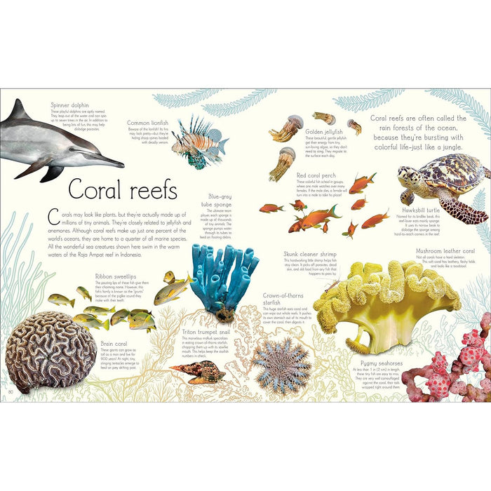 An Anthology of Aquatic Life - Sam Hume