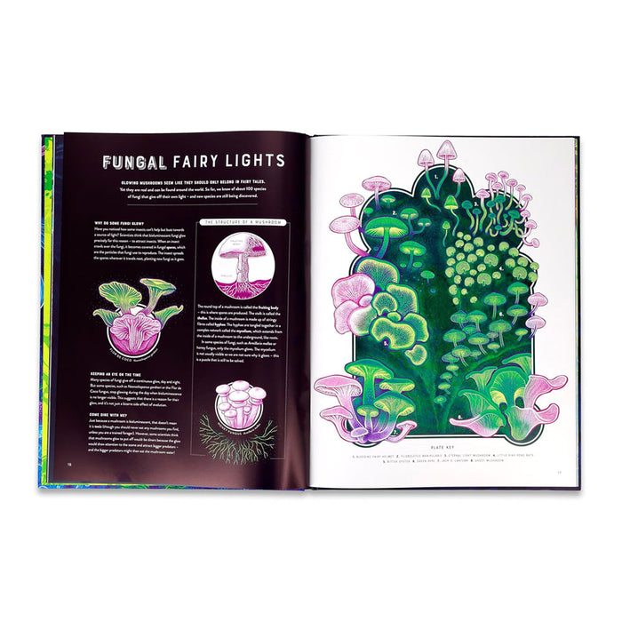 Glow: The Wild Wonders of Bioluminescence