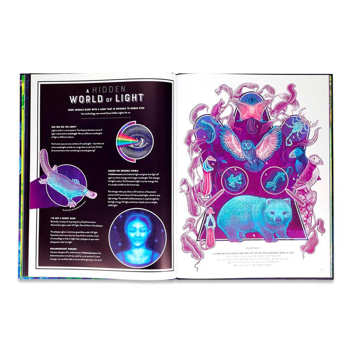 Glow: The Wild Wonders of Bioluminescence