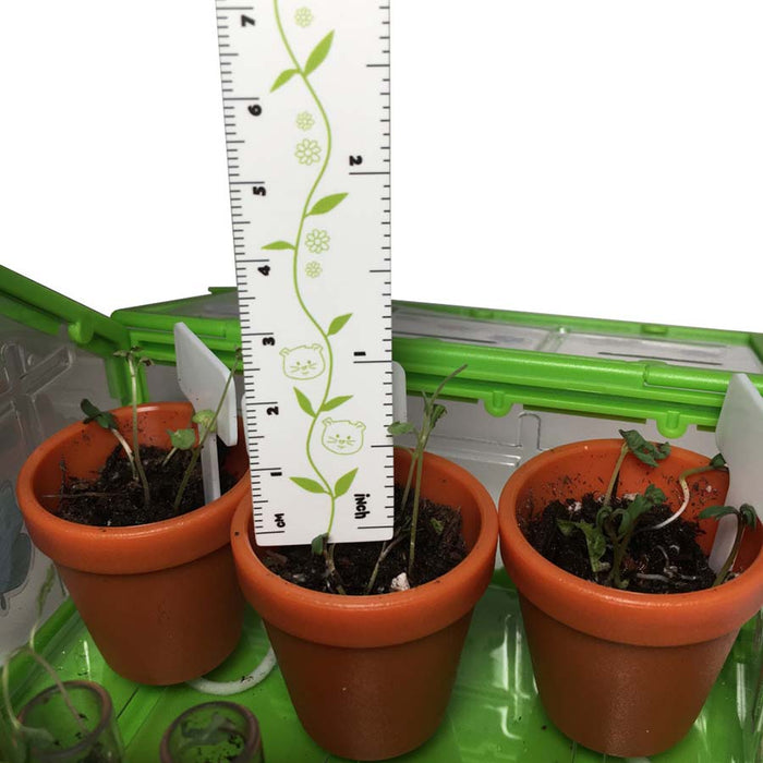 Tiny Garden Kit