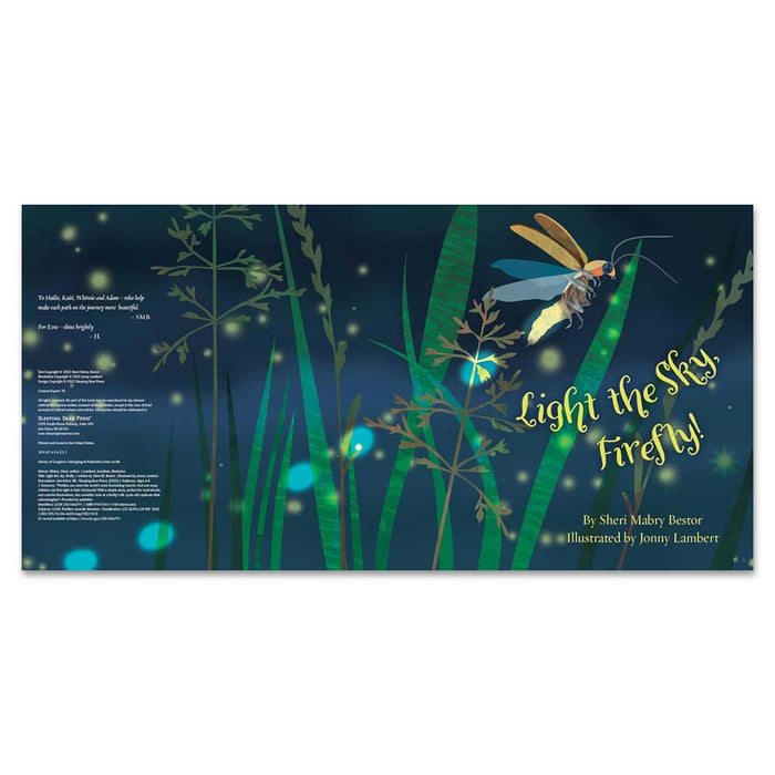 Light the Sky, Firefly