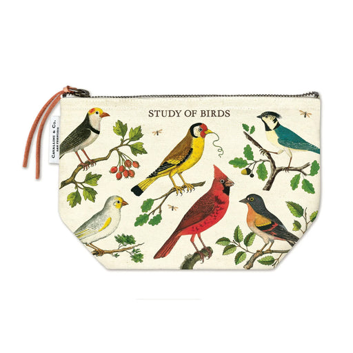 Natural cotton Study of Birds Pouch printed with vintage-style illustrations of various birds and branches, with the text STUDY OF BIRDS at the top.