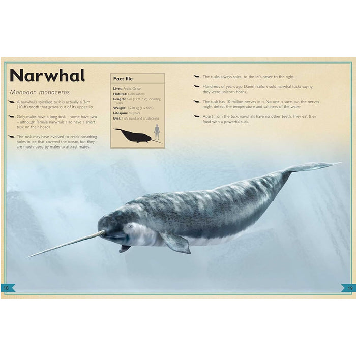 The Magnificent Book of Ocean Creatures