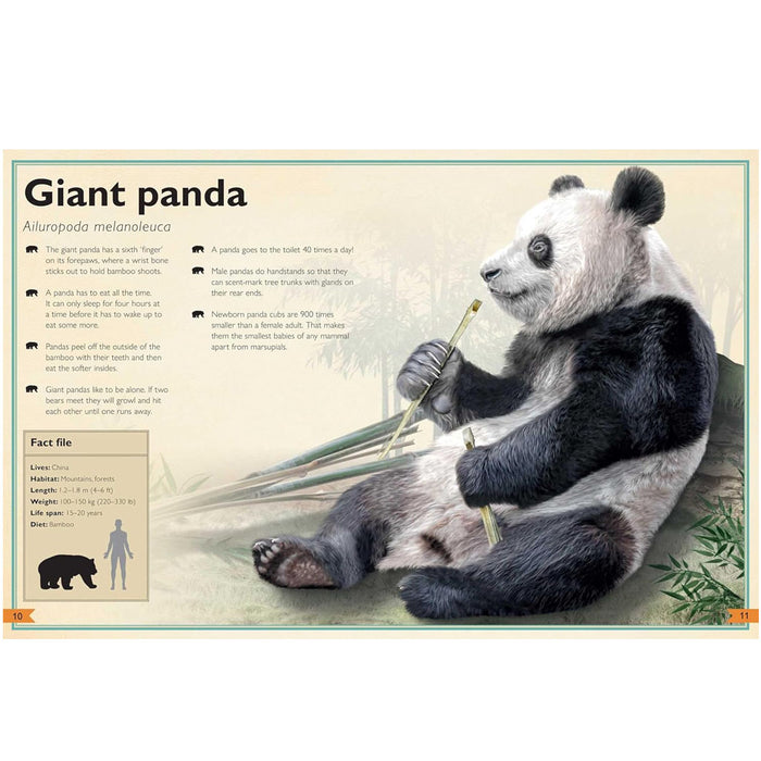 The Magnificent Book of Animals