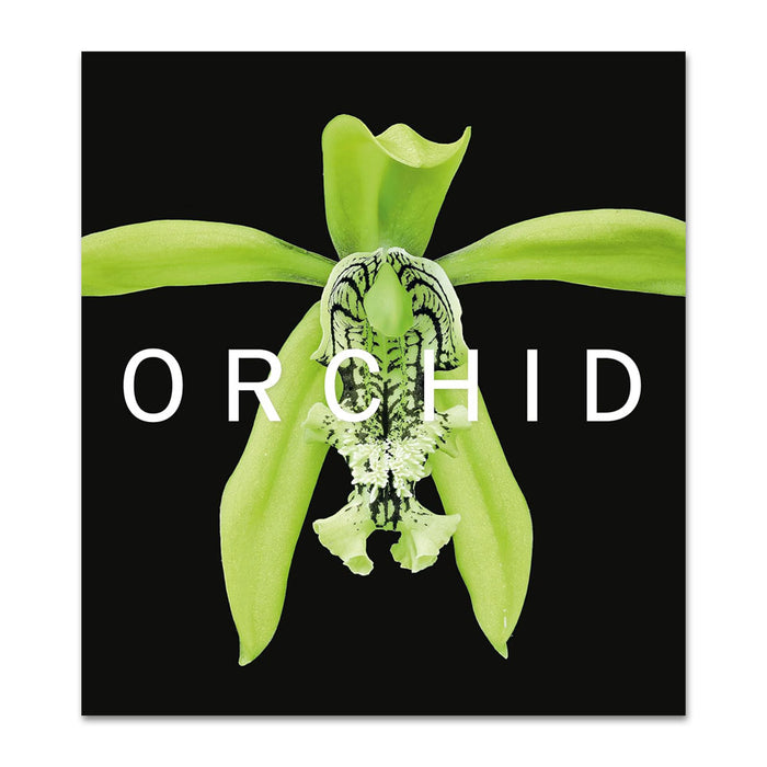 ORCHID: Marie Selby Botanical Gardens
