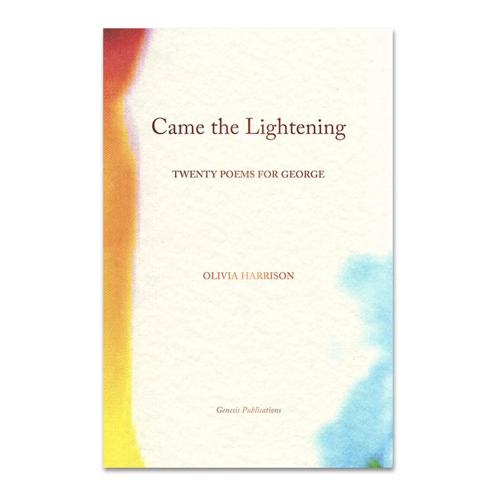 Came the Lightening: Twenty Poems for George