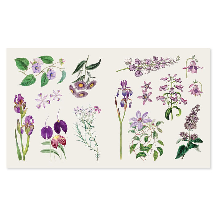 The Sticker Treasury of Blooms and Butterflies: An eclectic book of stickers for journaling, collaging, scrapbooking and more