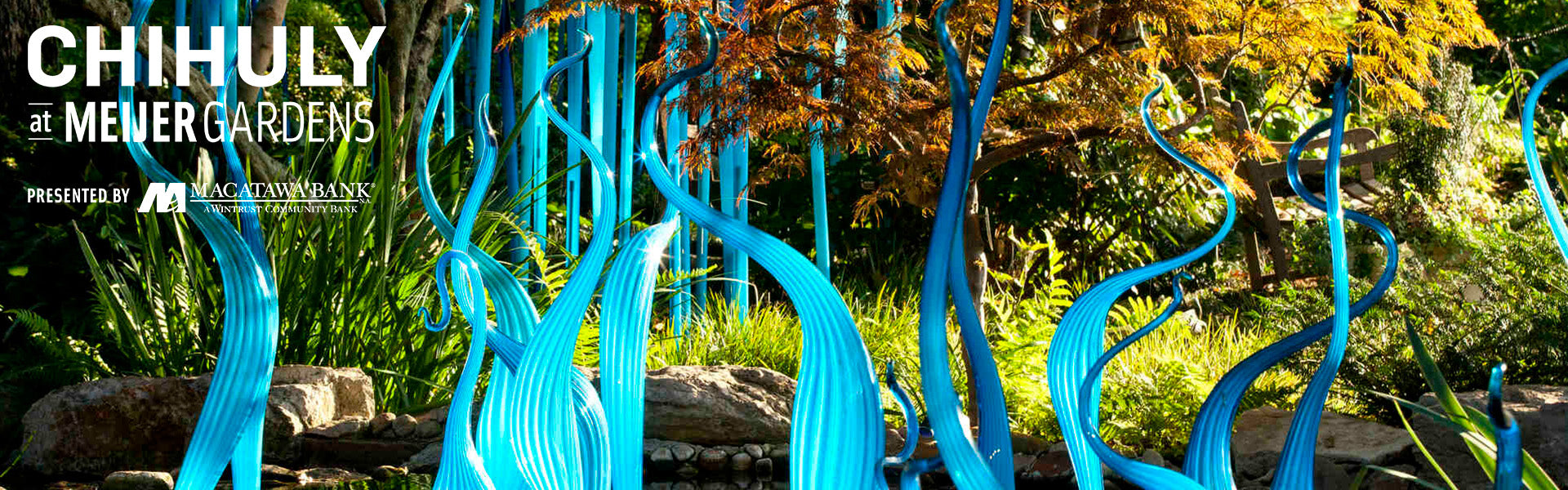 Curved blue glass sculptures rise among rocks, greenery, and a small tree in an outdoor garden. Text reads: Chihuly at Meijer Gardens. Presented by Mercantile Bank.