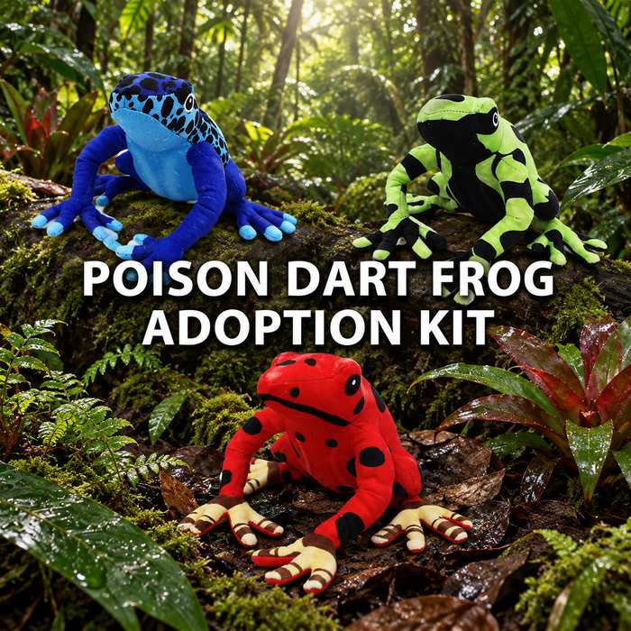 Three plush poison dart frogs—blue, green and black, and red with black spots—sit on mossy logs in a lush rainforest. This adorable set from the Discovery Place Poison Dart Frog Adoption Kit invites you to experience the magic of a rainforest adoption. Text reads: POISON DART FROG ADOPTION KIT.