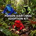 Three plush poison dart frogs—blue, green and black, and red with black spots—sit on mossy logs in a lush rainforest. This adorable set from the Discovery Place Poison Dart Frog Adoption Kit invites you to experience the magic of a rainforest adoption. Text reads: POISON DART FROG ADOPTION KIT.
