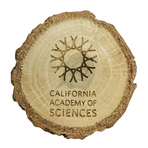 Logo Wooden Plank Magnet -  California Academy of Sciences 
