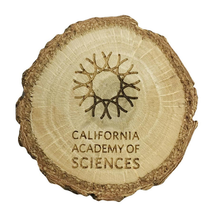 Logo Wooden Plank Magnet -  California Academy of Sciences 
