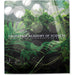 California Academy of Sciences Book: Architecture in Harmony with Nature