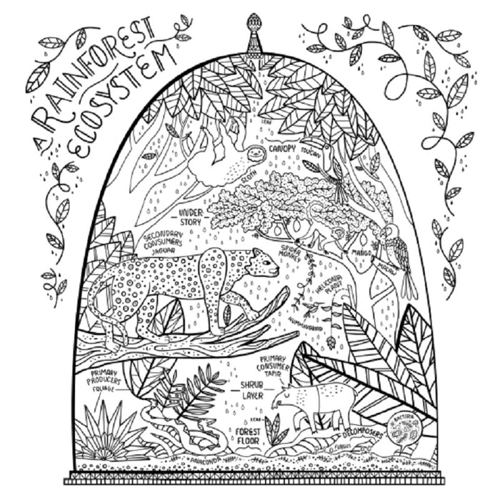 The Wondrous Workings of Science and Nature Coloring Book: 40 Line Drawings to Color