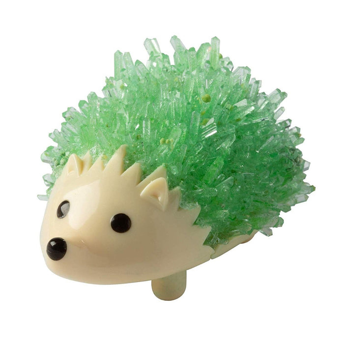 Growing Crystal Hedgehog Kit