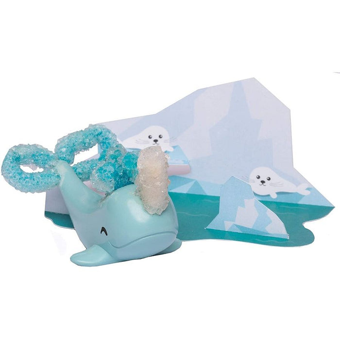 Grow Your Own Crystal Narwhal Kit