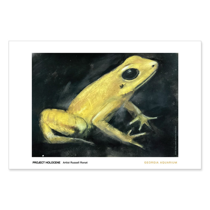 GAQ x Russell Ronat Poison Dart Frog Exhibit Print