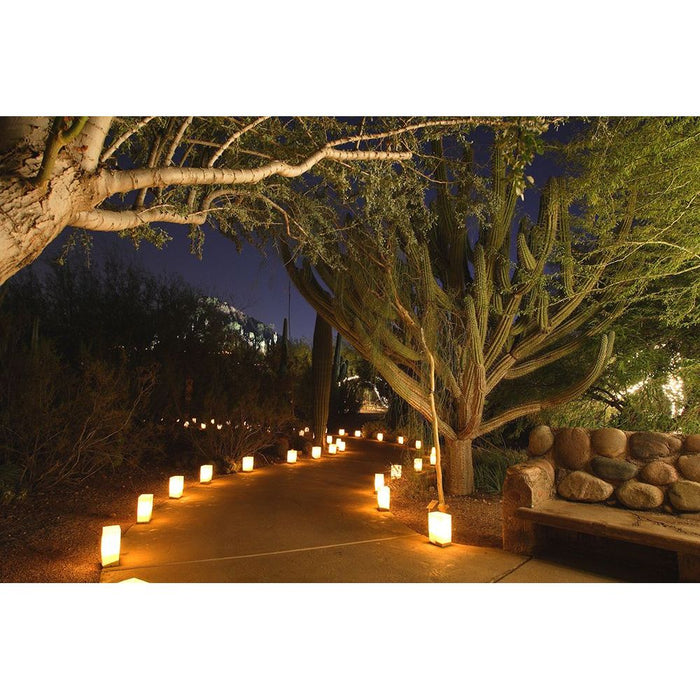 Brown Luminary with Votive Candle