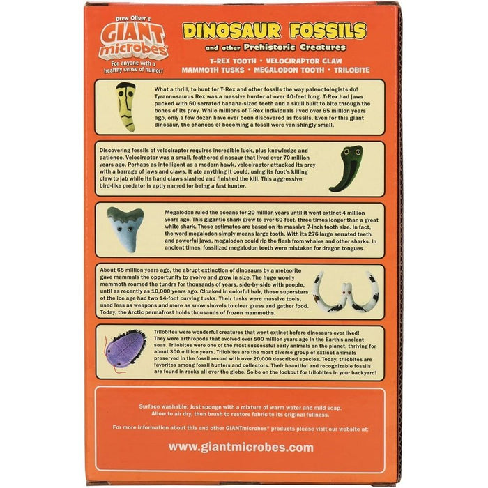 Set of 5 Dinosaur Fossils Clips