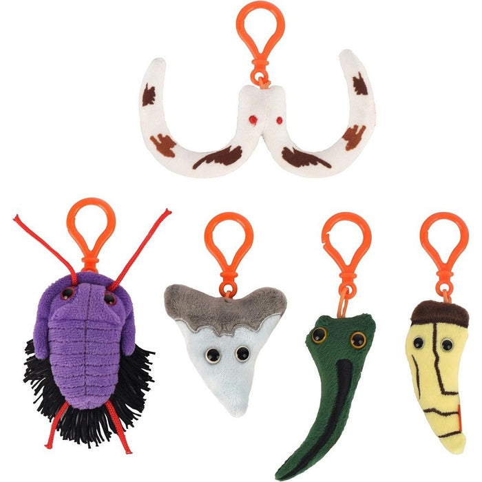 Set of 5 Dinosaur Fossils Clips