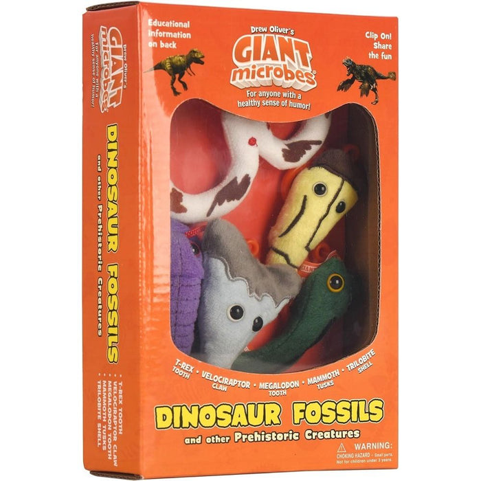 Set of 5 Dinosaur Fossils Clips