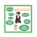 The Eco Pals Green Sea Turtle Small Plush is made with recycled materials and safe for babies, featuring stitched eyes, no plastic beans, and eco-friendly packaging—just like our plush otter.