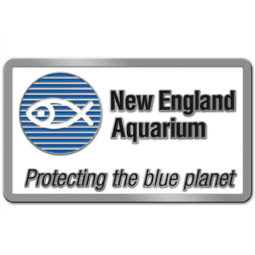 New England Aquarium Enamel Fridge Magnet
