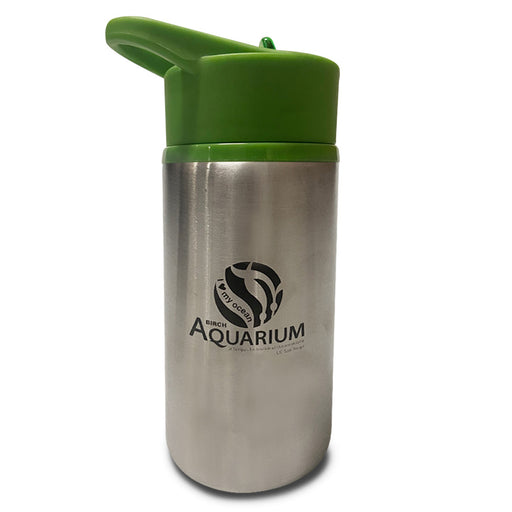 Kids Stainless Steel Birch Aquarium Green Water Bottle