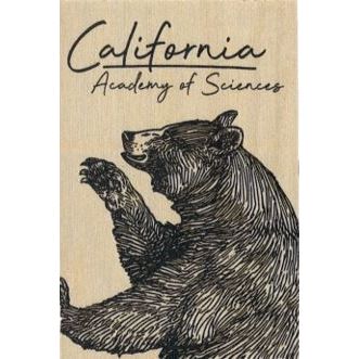 California Grizzly Bear Wood Magnet