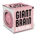 Giant Brain Squeeze Ball Toy