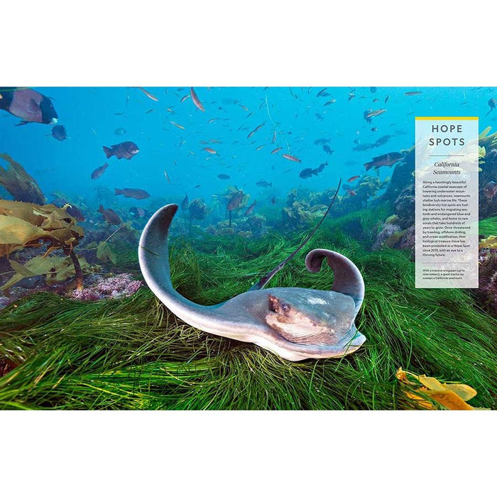 National Geographic Ocean: A Global Odyssey