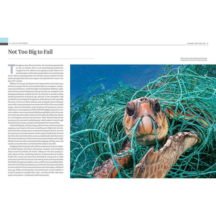 National Geographic Ocean: A Global Odyssey