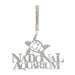 Stainless Steel National Aquarium Sea Turtle Christmas Ornament 
