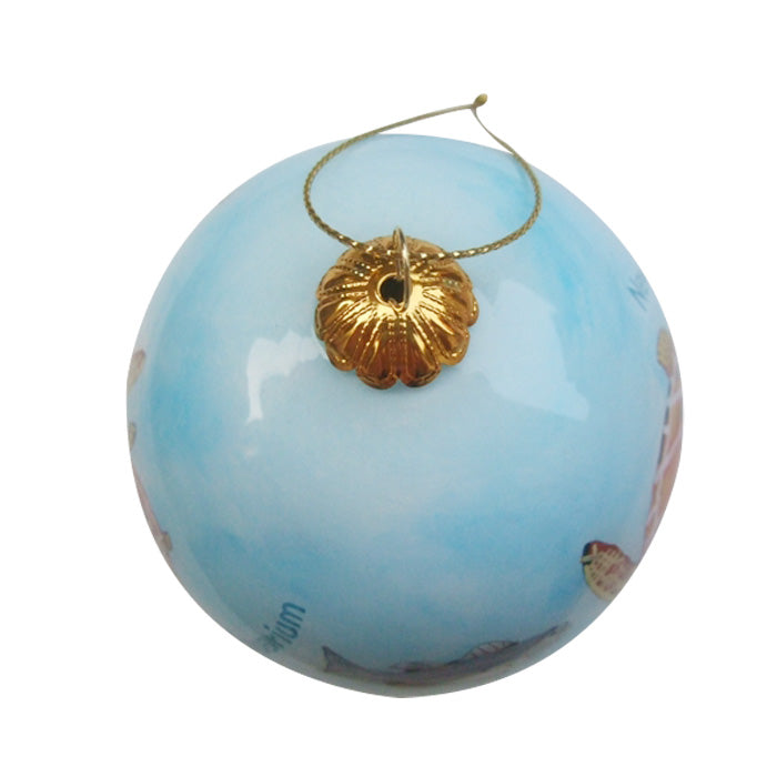 Hand-painted  New England Aquarium Sea Turtle Glass Ornament