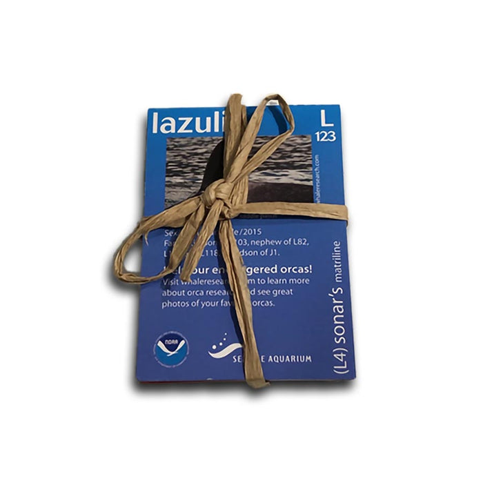 Orca Identification Cards