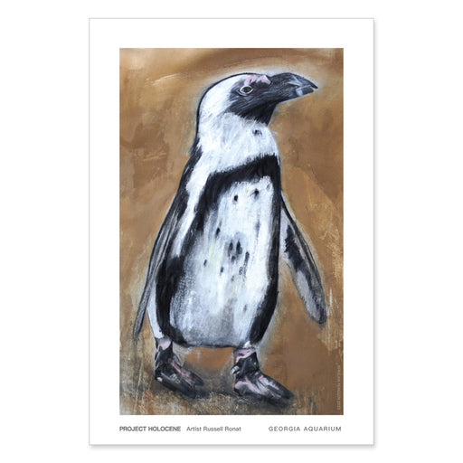 Russell Ronat Penguin Exhibit Print - Georgia Aquarium