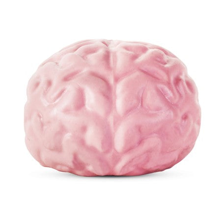 Giant Brain Squeeze Ball