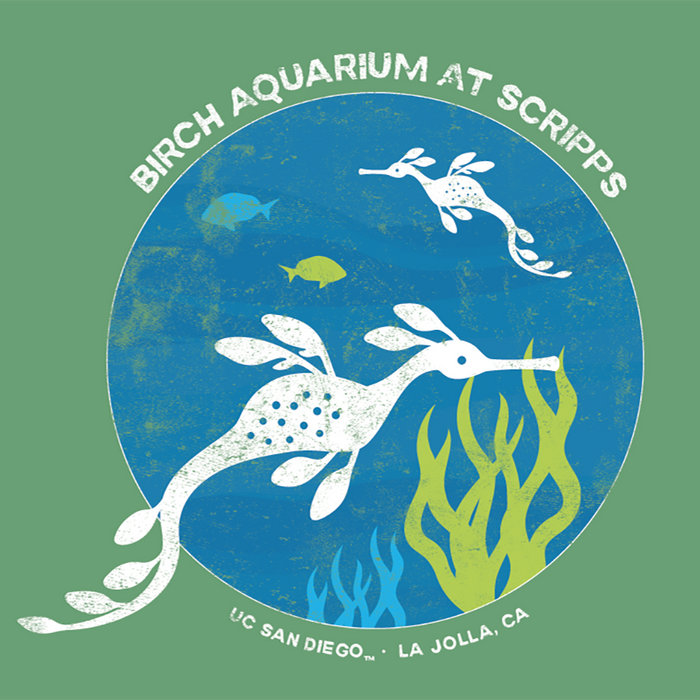 Birch Aquarium Weedy Seadragon Eco Youth Tee