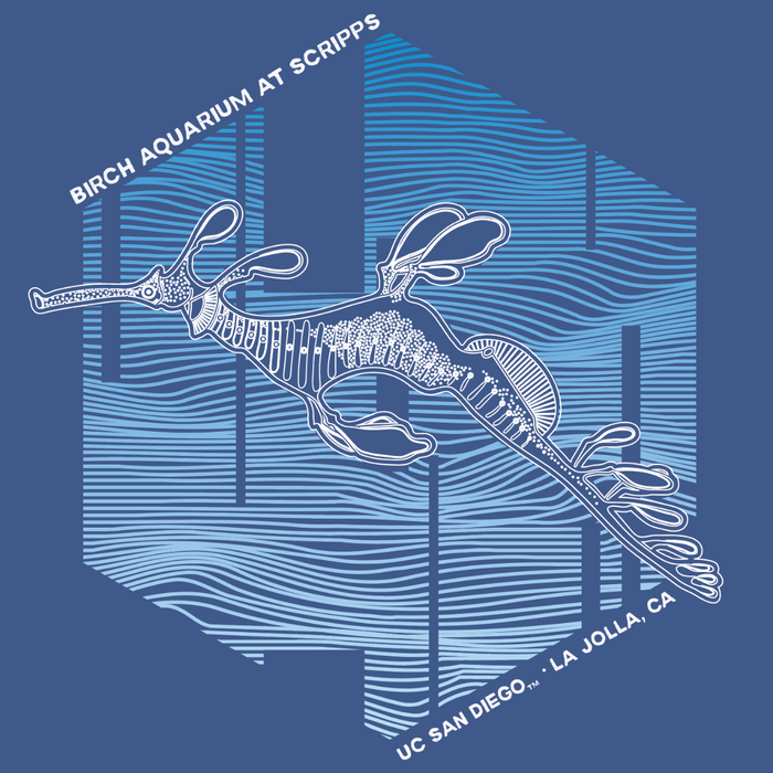 Birch Aquarium  Weedy Seadragon Eco Adult Tee