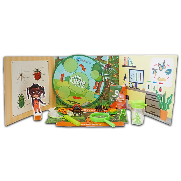 Brown Toy Box Entomology STEAM Kit