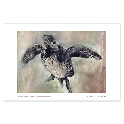 GAQ x Russell Ronat Sea Turtle Exhibit Print