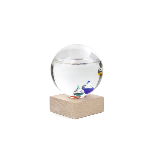 Galileo's Thermometer