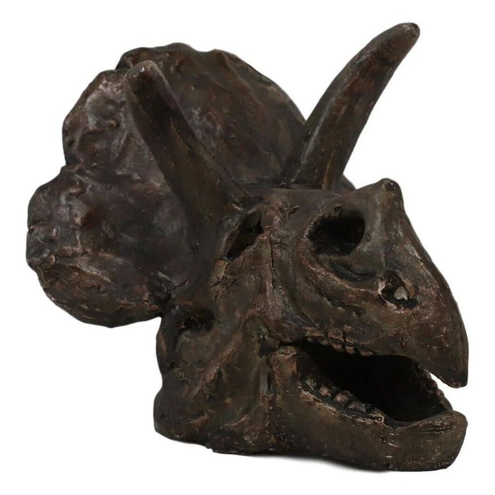 6 Inch Triceratops Skull Model