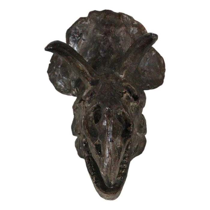 6 Inch Triceratops Skull Model