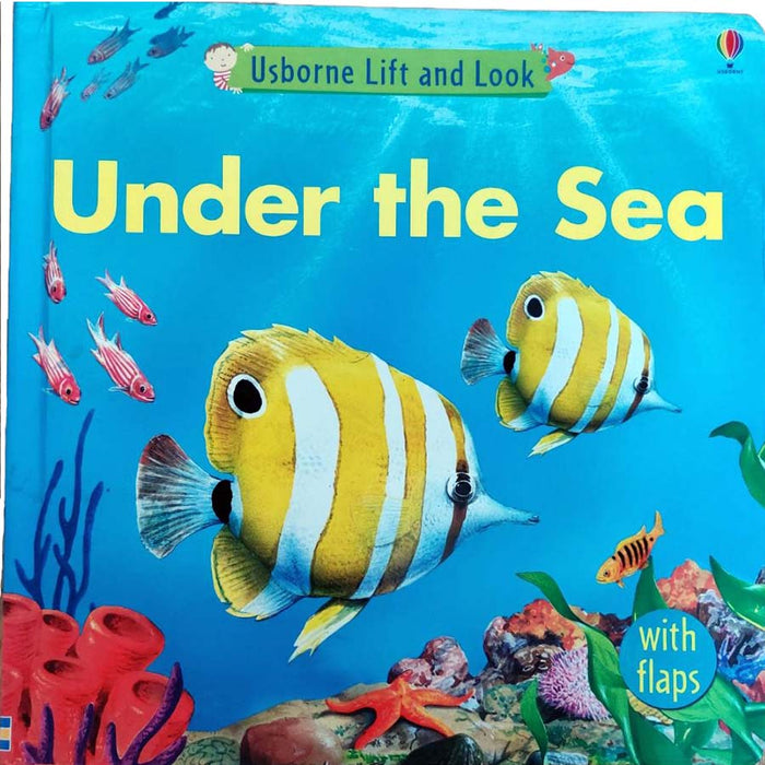 Lift & Look: Under The Sea Book