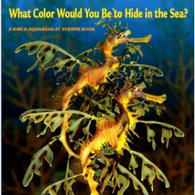 Book - What Color Would You Be to Hide in the Sea? Paperback Birch Aquarium