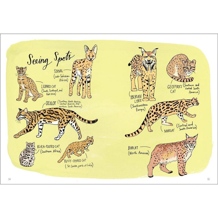 Wildlife Anatomy