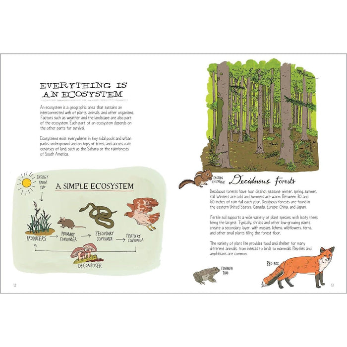 Wildlife Anatomy